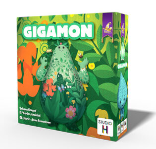 Schachtel Vorderseite - Gigamon